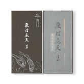 Feitian: Brush&Ink Stick Set